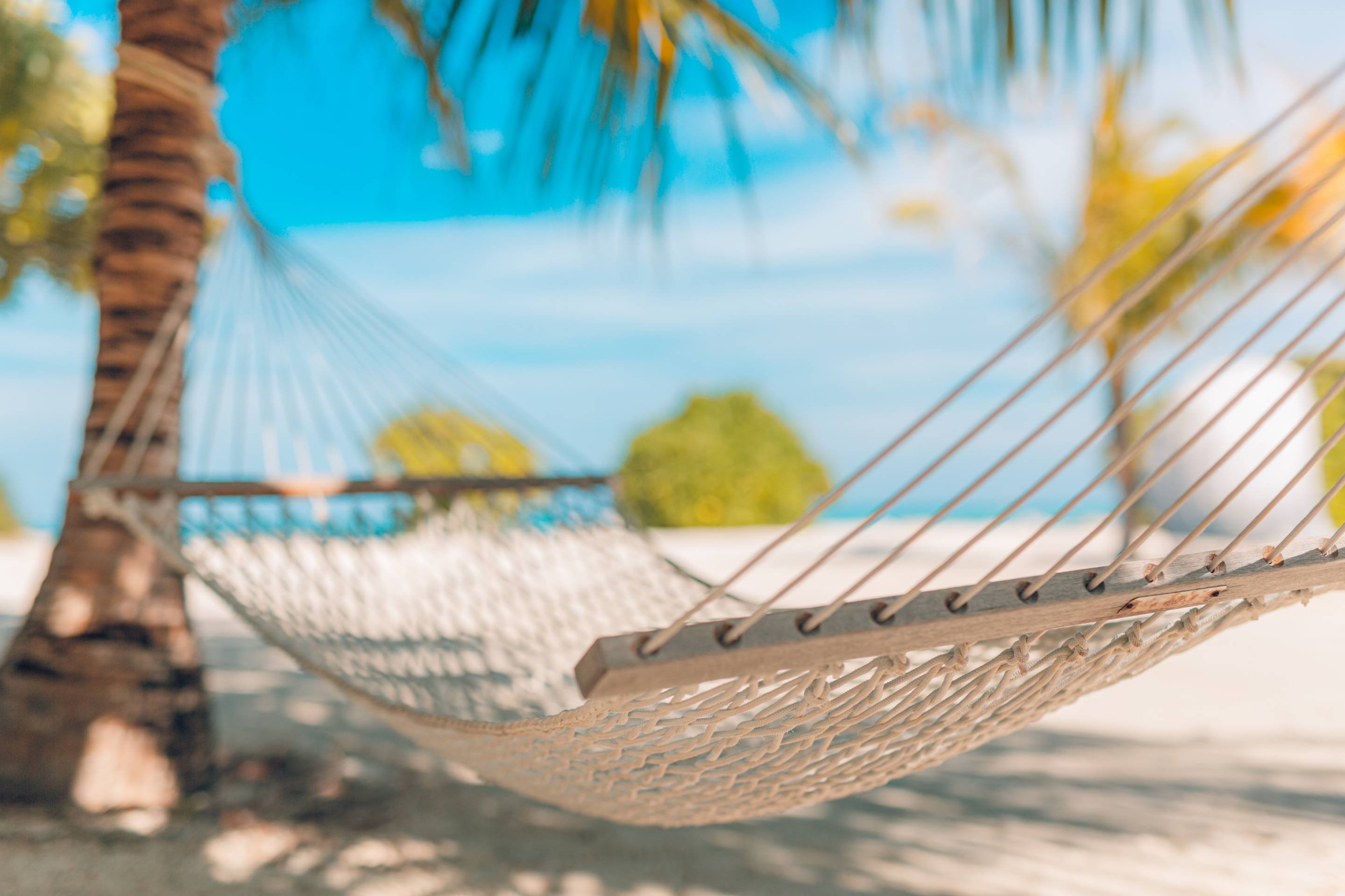 Lazy Daze Hammocks