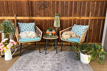 Wicker Patio Conversation Set with  Cushions